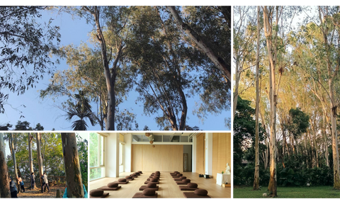 中部場域租借 · 僻靜空間· 森林秘境