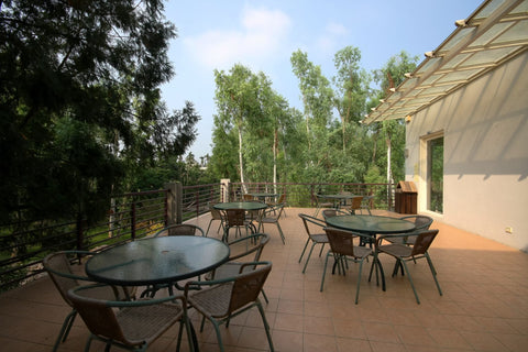 中部場域租借 · 僻靜空間· 森林秘境