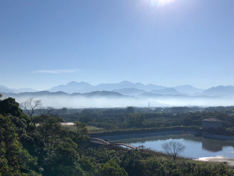 中部場域租借 · 僻靜空間· 森林秘境
