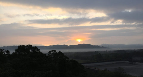 中部場域租借 · 僻靜空間· 森林秘境