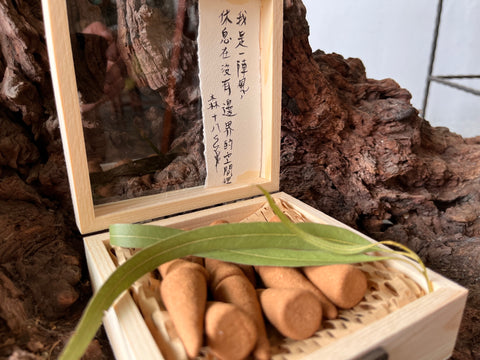香脈無聲 | 手捻香椎 · 身安好