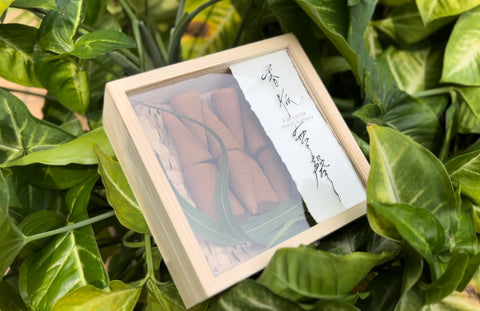 香脈無聲 | 手捻香椎 · 身安好