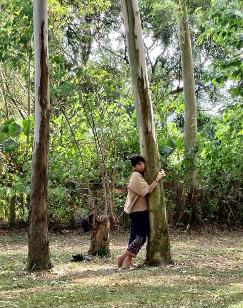 中部場域租借 · 僻靜空間· 森林秘境
