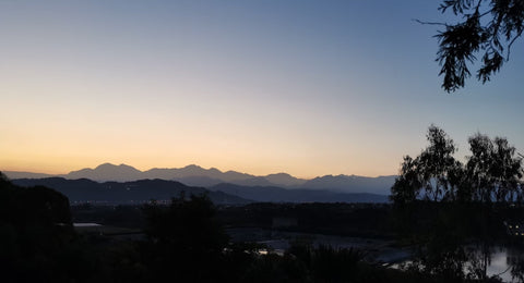 中部場域租借 · 僻靜空間· 森林秘境