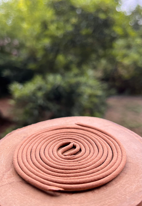 印度老山檀木盤香 | 溫柔的母親樹