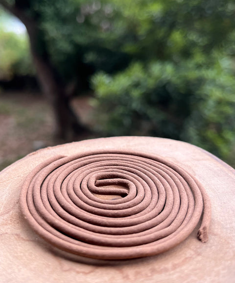 花伊利安沉木盤香 | 山林裡的隱士